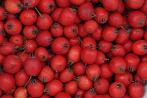 Il colore molto intenso a metà agosto